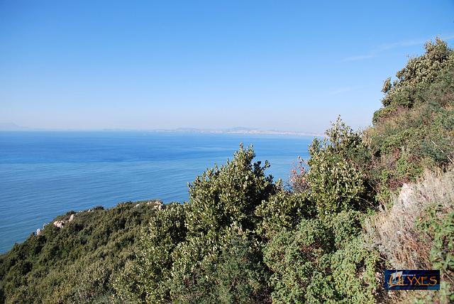 veduta da carosiello di montaro.JPG